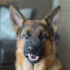 werewolf_em