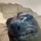 AnotherGenericGuy