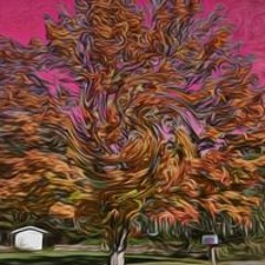 Alice Chrissie Martin