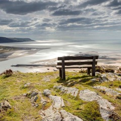 let her go (passenger & ed sheeran)