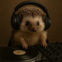 hedgehog dj