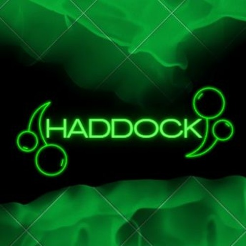 DJ HADDOCK’s avatar