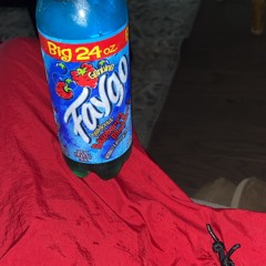 FAYGOVAMP