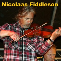 Nicolaas Fiddleson