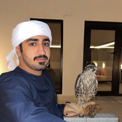 bin7arib