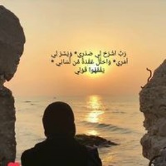 Rana Yosry Elshazly