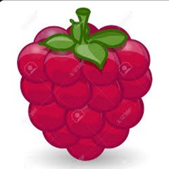 HellaBerry