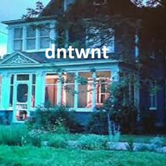 dntwnt