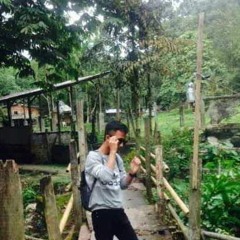 nuss