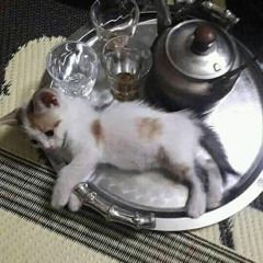ج