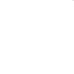 DSQ03