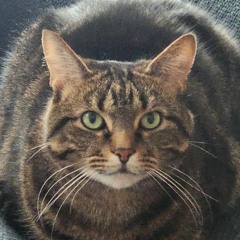 Big Jeetus