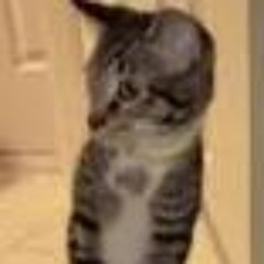 owu