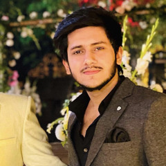 Ali Mujahid