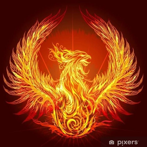Phoenix Of Zik’s avatar