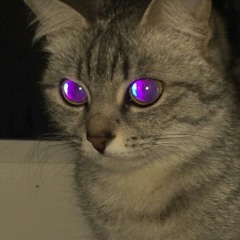 solusipse