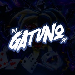DJ Gatuno SP