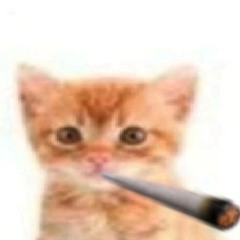 РыЖыЙ_С_ЗаЗой