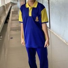 ZX NT