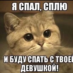 mectocmeptu#2016