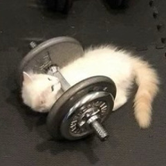 𝐩𝐢𝐱𝐢𝐞 ✧*:･ﾟ