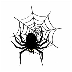 Spider 5