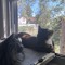 CATSLOVETECHNO