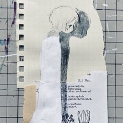 #painn