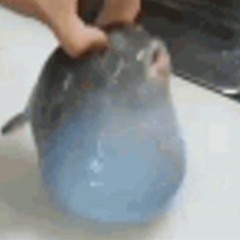 ballsack playa