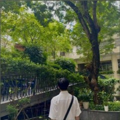 trương hùng