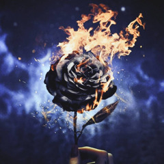 Burning Rose