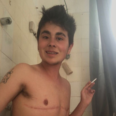 Milan Shiff