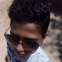Ahmed Abdelrehim