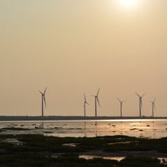 harupa