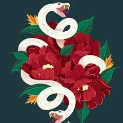 Marshallxdragon