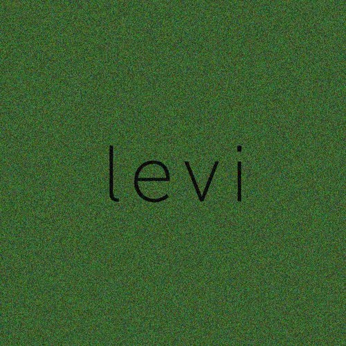 levi’s avatar