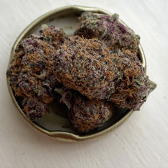 Geordie_stoner