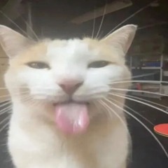 Bolodya