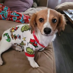 redemption_unfolded999