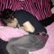 micael