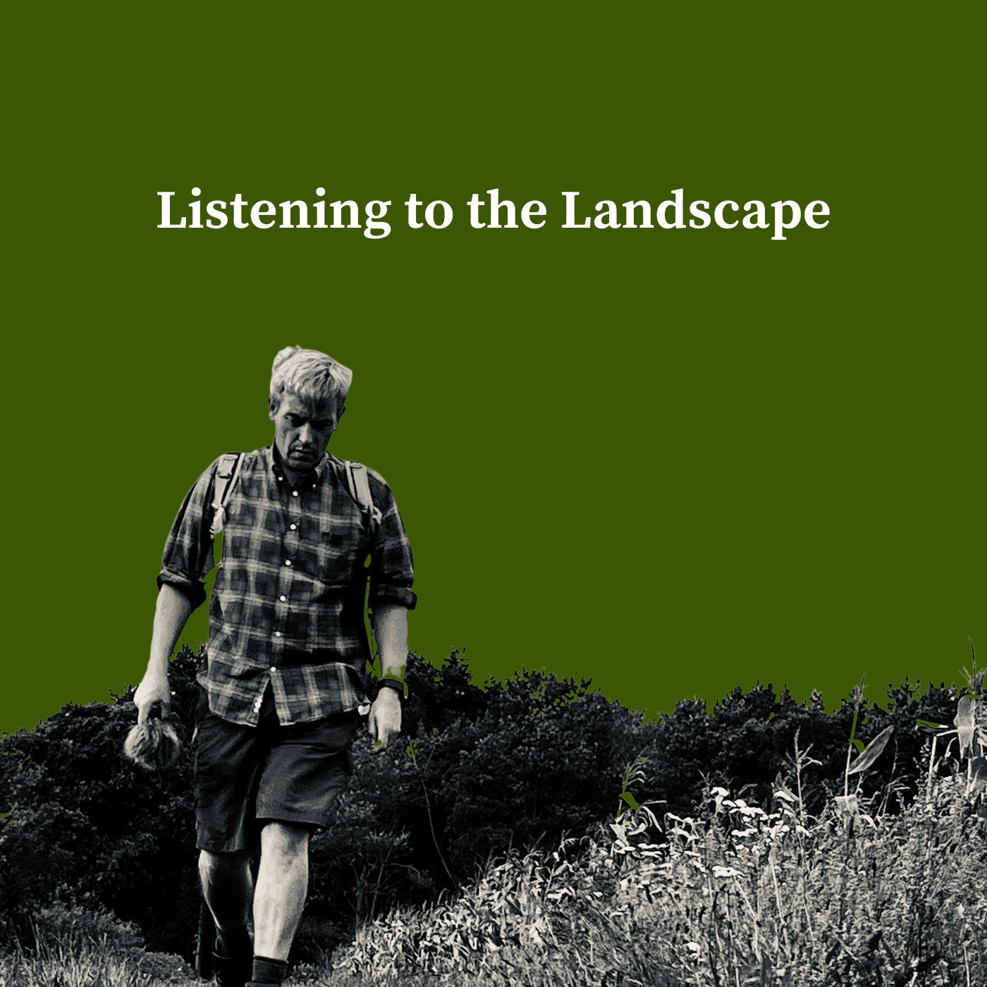 Listening to the Landscape: Holbrook