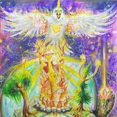 Phoenix Colourcode MarestDanse