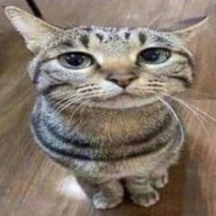Cumpita