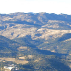 raquinburner