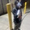 L O $ A