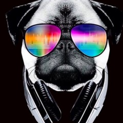PUG 81 DnB