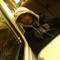 samir99fly