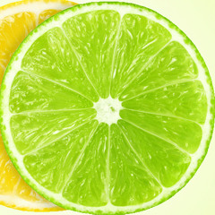 m3lloncoll13