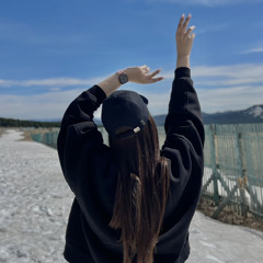 T.Shnayder