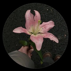 🎀